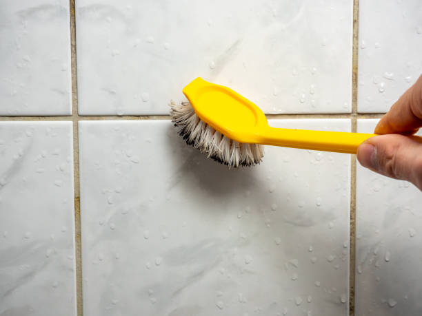 Trusted Frackville, PA Mold Removal Experts