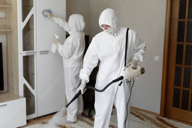 Best Toxic Mold Removal  in Frackville, PA