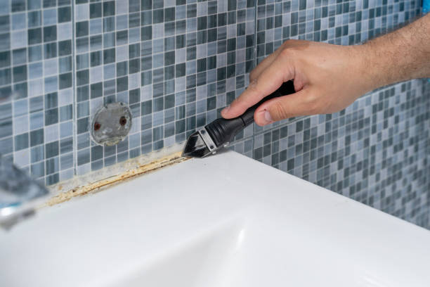 Best Office Mold Removal Services  in Frackville, PA