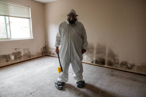 Best Mold Testing  in Frackville, PA